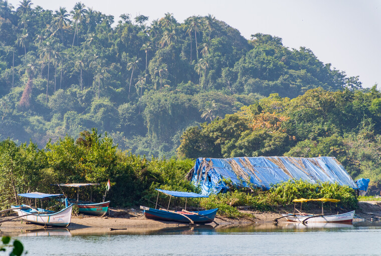 India 2014 - Goa 044.jpg